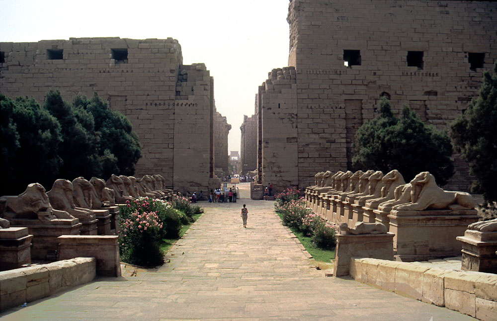 allé de sphinx