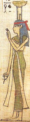 Nephtys